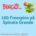bingo.com bingo.com